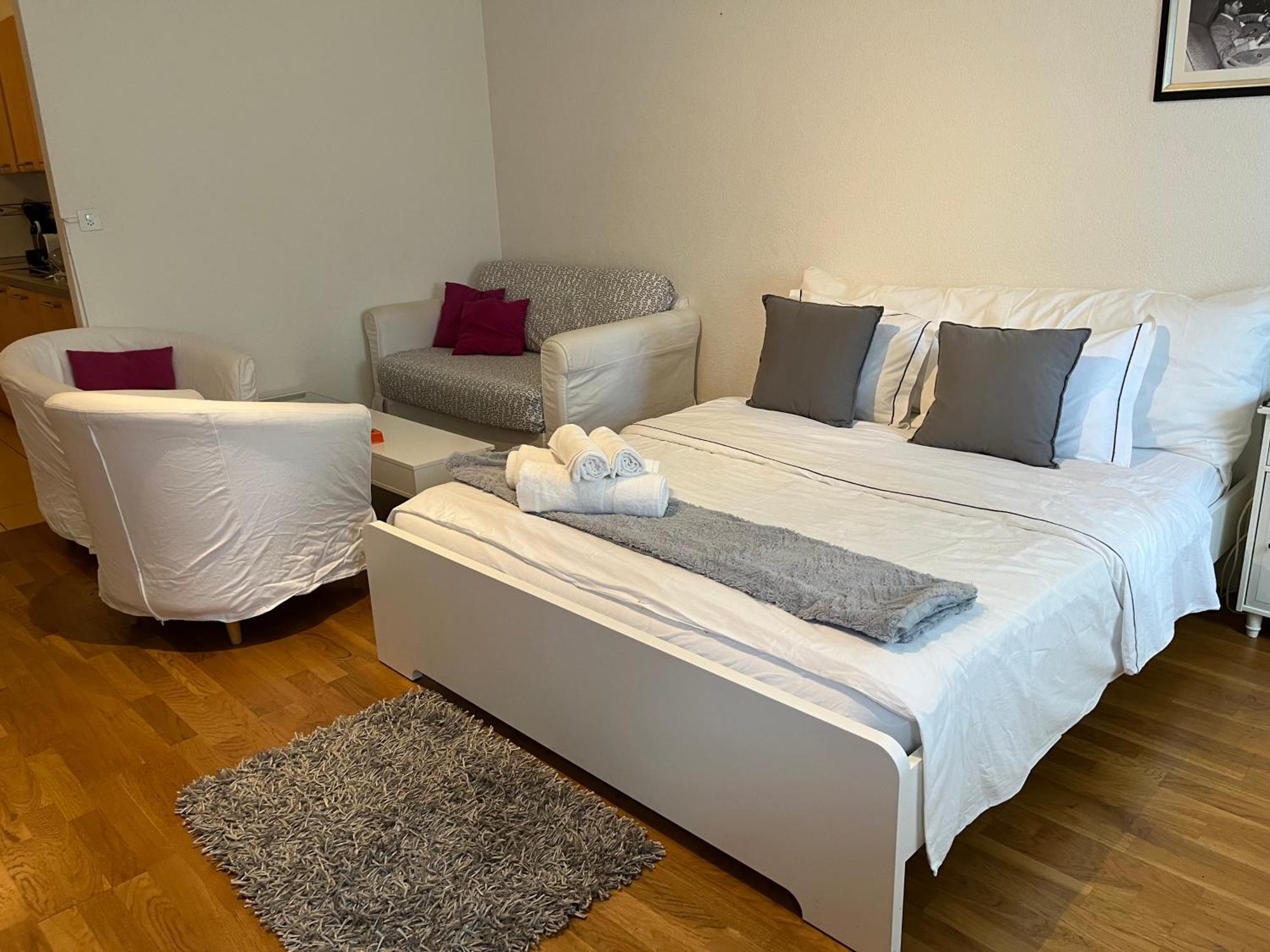 7 Min Walking From Gare Lausanne