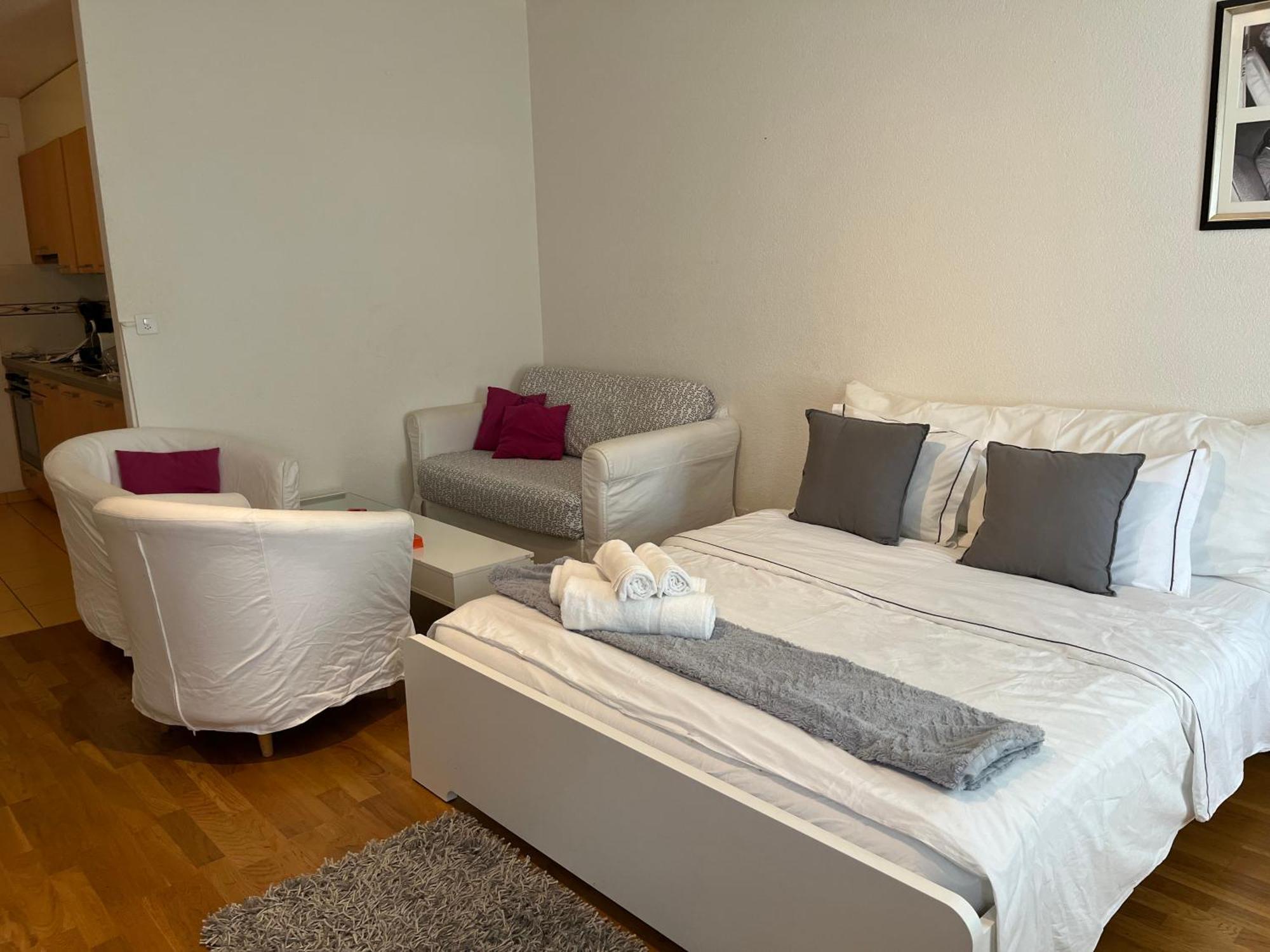 7 Min Walking From Gare Lausanne